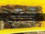 When Do Crabs Sluff?