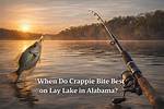 When Do Crappie Bite?