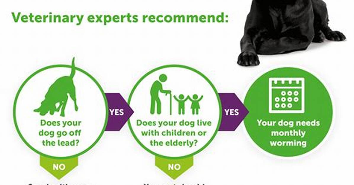 When Do Dog Wormers Work?
