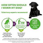 When Do Dog Wormers Work?