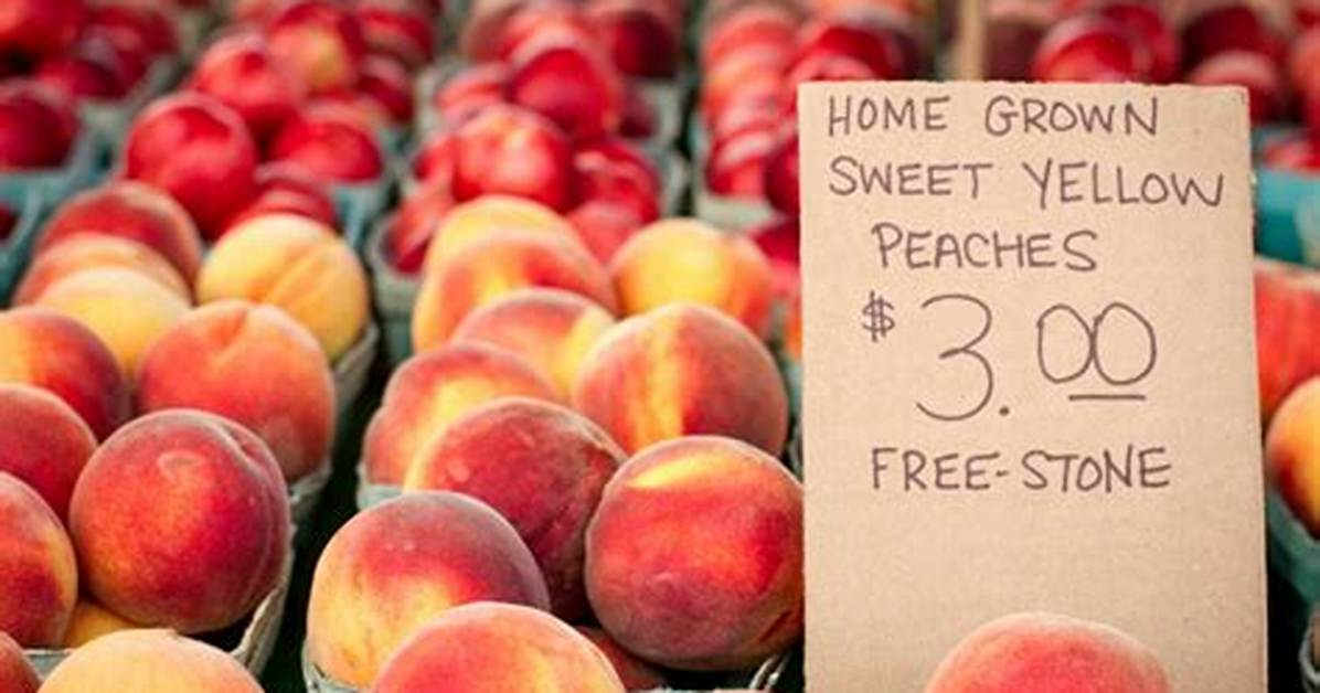 When Do Freestone Peaches Come in?