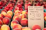 When Do Freestone Peaches Come in?