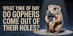 When Do Gophers Come out?