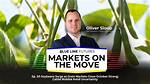 When Do Grain Markets Close?