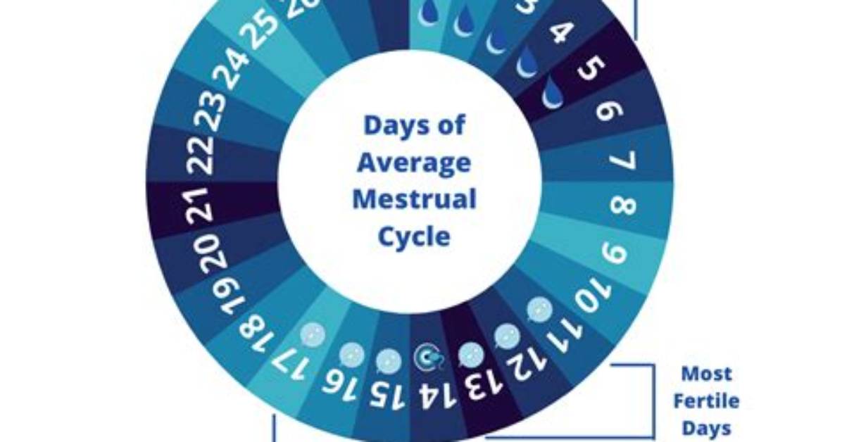 When Do I Ovulate?