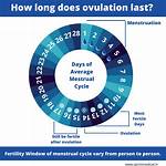 When Do I Ovulate?