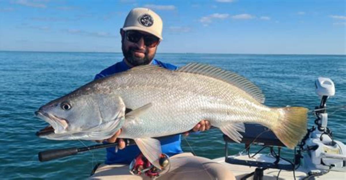 When Do Jewfish Bite?