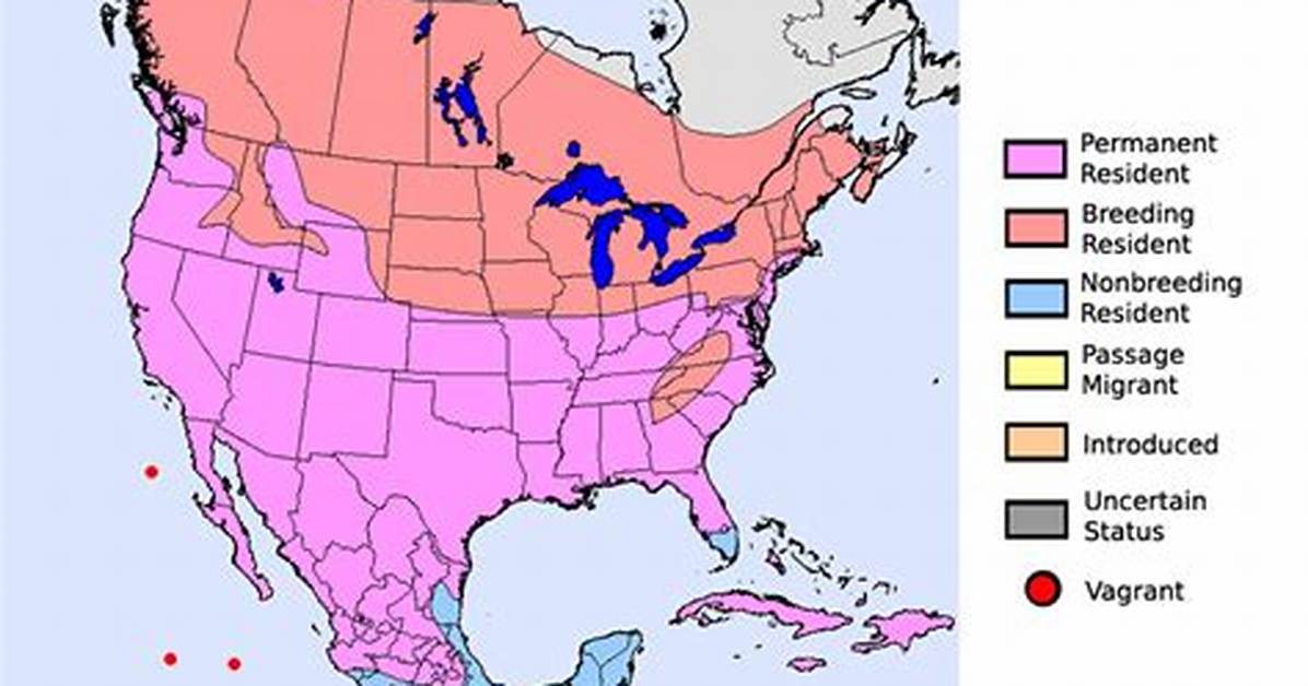 When Do Killdeer Migrate?