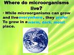 When Do Microorganisms Grow Best?