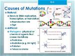 When Do Mutagens Cause Mutations?