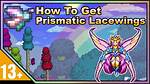 When Do Prismatic Lacewing Spawn?