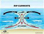 When Do Rips Occur?