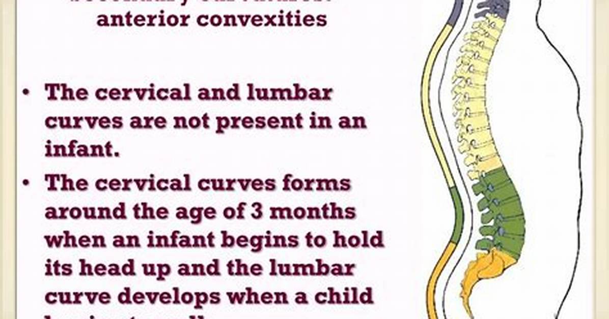 When Do Secondary Curvatures Develop?
