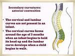 When Do Secondary Curvatures Develop?