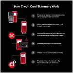 When Do Skimmers Mate?