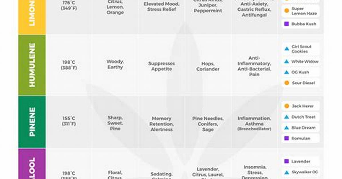 When Do Terpenes Develop?