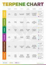 When Do Terpenes Develop?