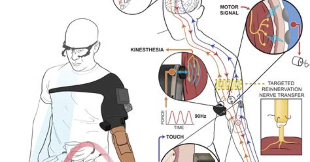 When Do We Use Kinesthesia?