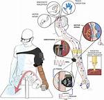 When Do We Use Kinesthesia?
