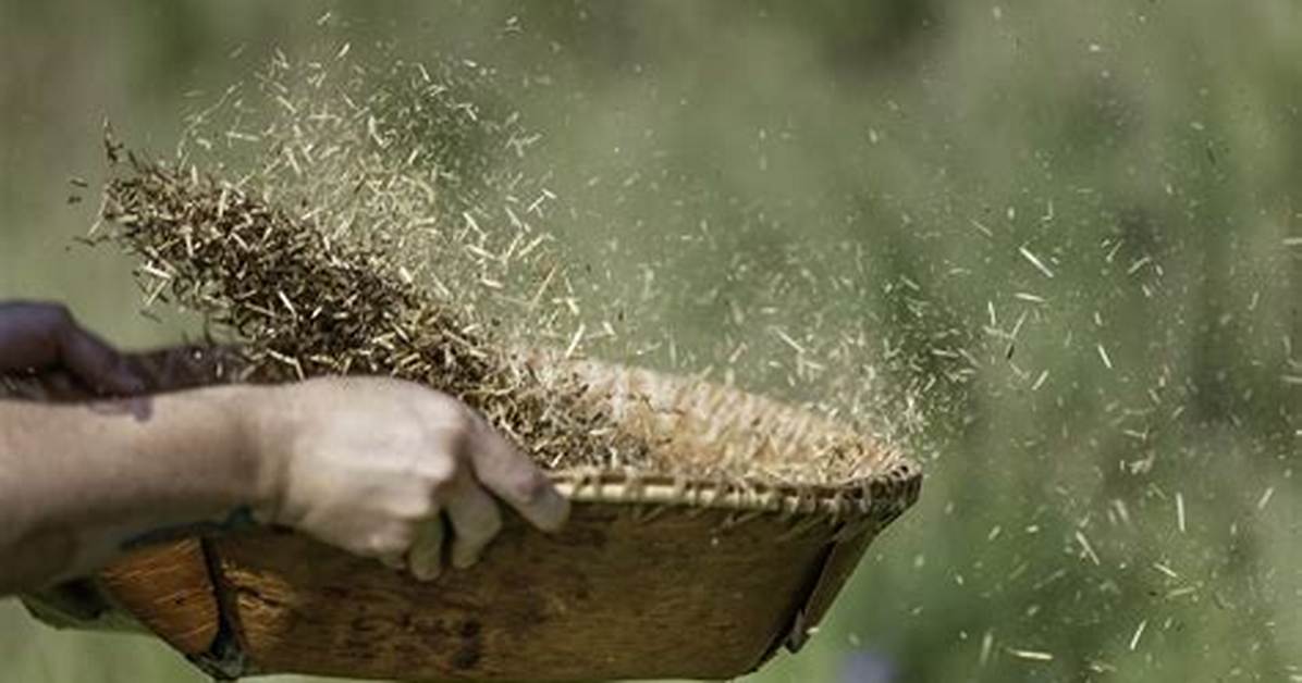 When Do We Use Winnowing?