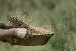 When Do We Use Winnowing?
