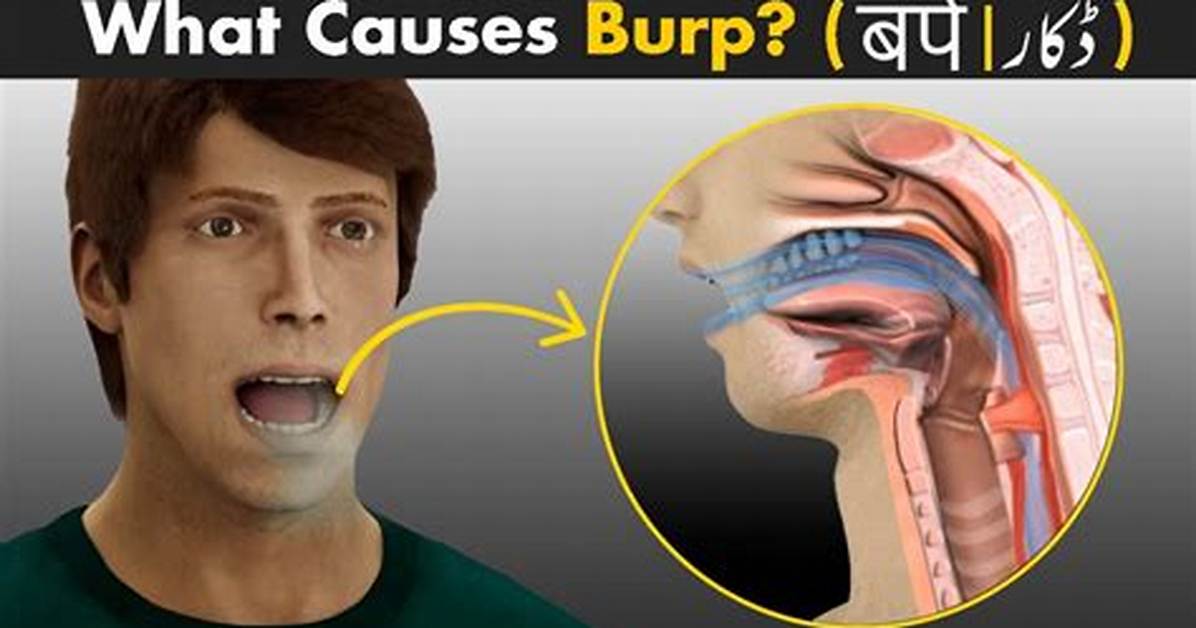 When Do You Get Burps?