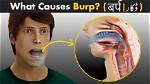 When Do You Get Burps?