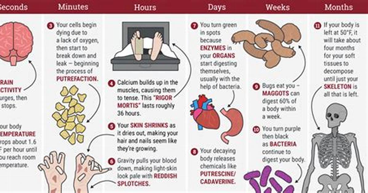 When Do You Start Deteriorating?