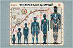 When Do You Stop Growing?