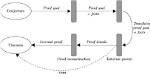 When Does a Conjecture Become a Theorem?