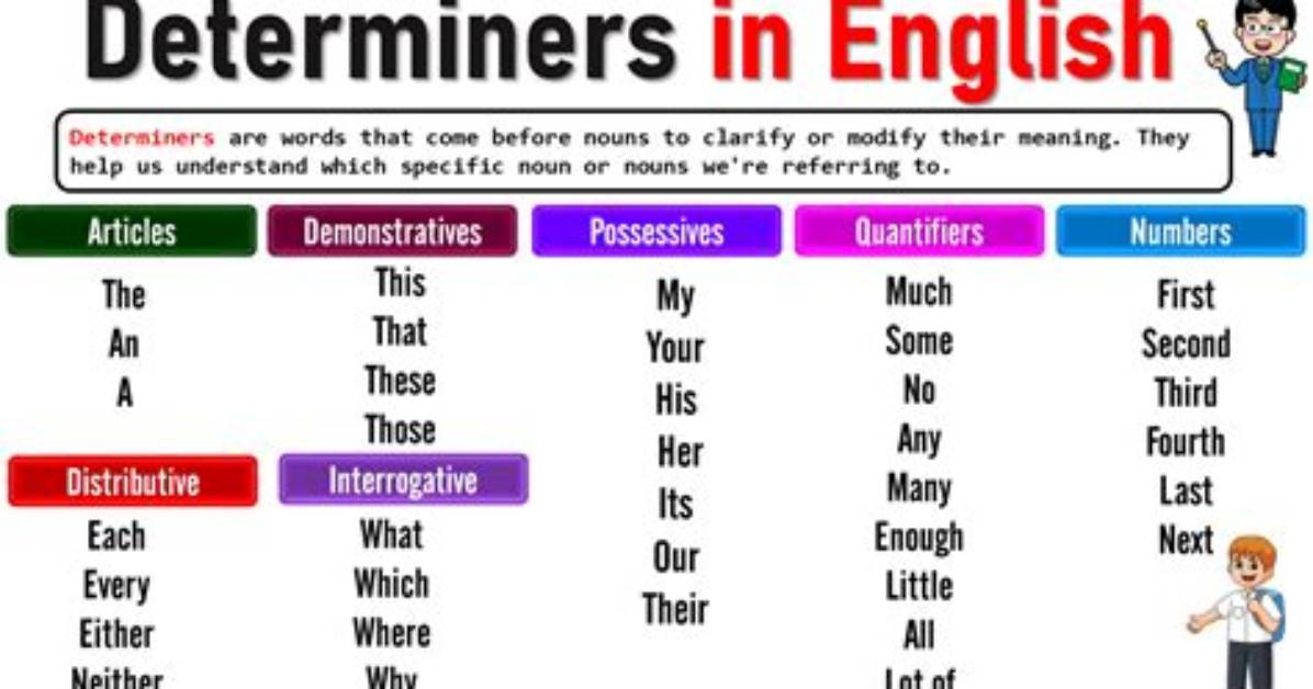 When Does a Determiner Come?
