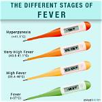 When Does a Fever Start?