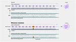 When Does a Missense Mutation Occur?