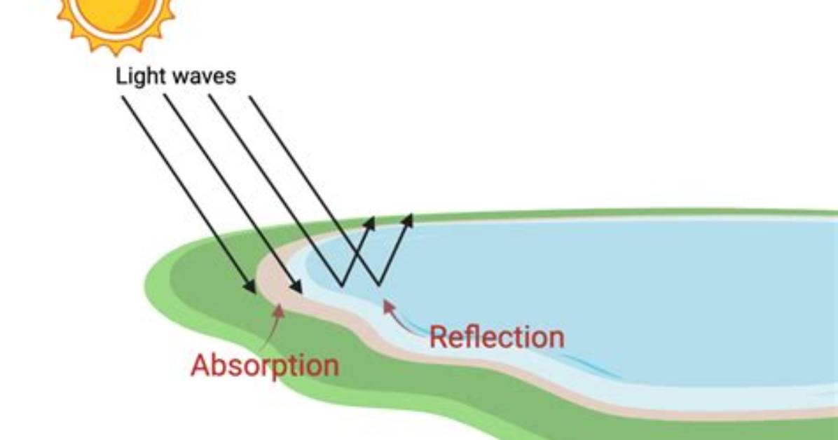 When Does Absorption Mean?