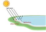 When Does Absorption Mean?