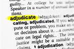 When Does Adjudicate Mean?