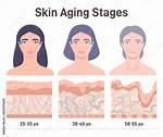 When Does Ageing Process Start?