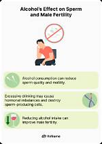 When Does Alcohol Affect Sperm?