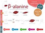 When Does Beta Alanine Start Working?