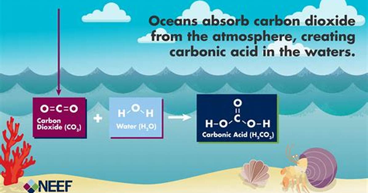When Does Carbonic Acid Decompose?