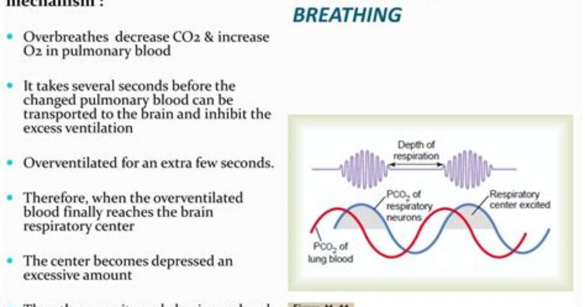 When Does Cheyne Stokes Occur?