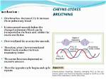 When Does Cheyne Stokes Occur?