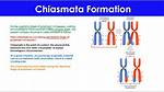 When Does Chiasmata Disappear?