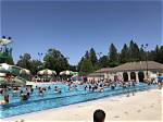 When Does Comstock Pool Open?