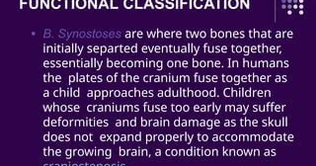 When Does Cranium Fuse?
