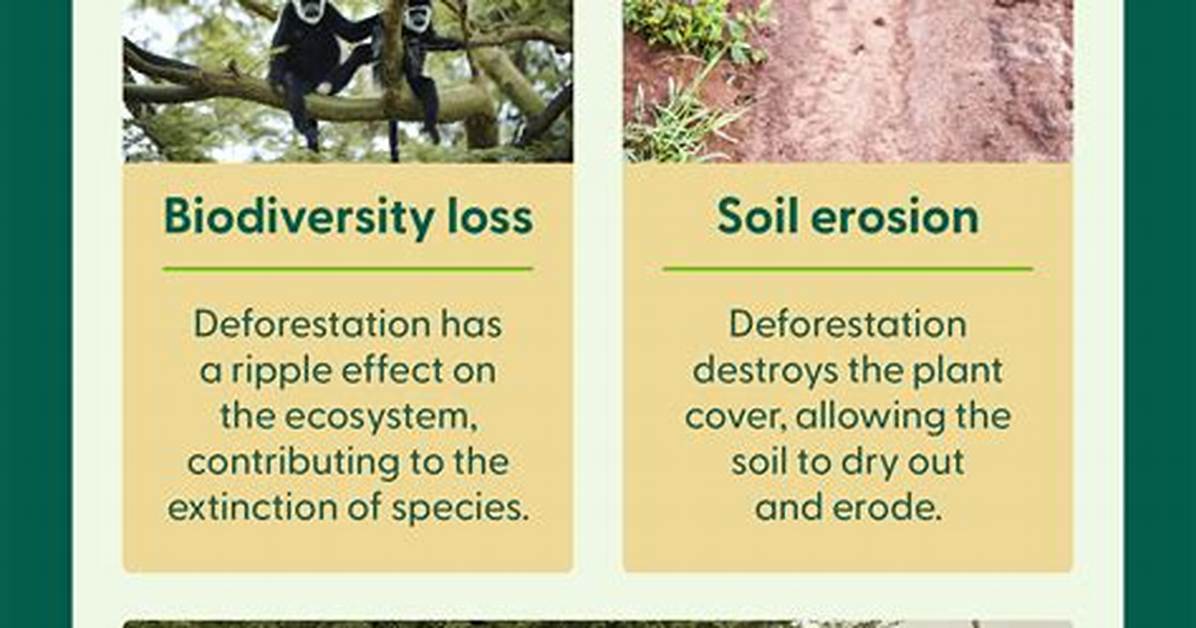 When Does Deforestation Affect Us?