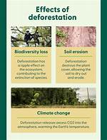 When Does Deforestation Affect Us?