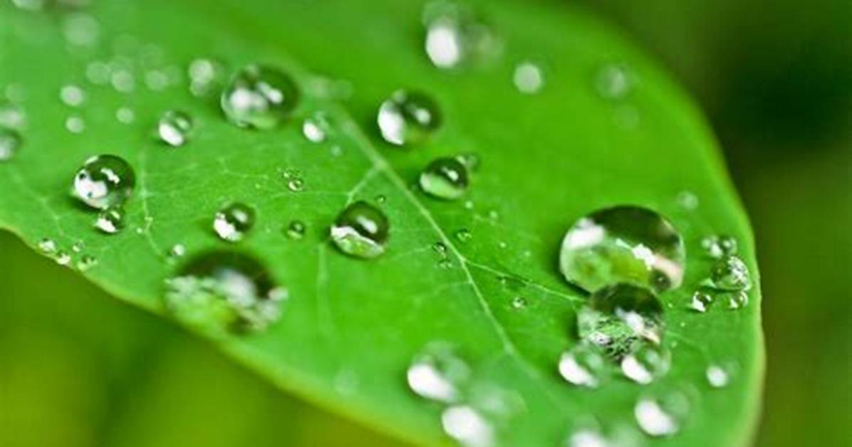 When Does Dew Form?
