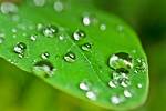 When Does Dew Form?