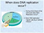 When Does Dna Replication Occur?